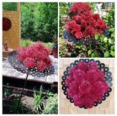 Frühlings-Bonustage 2026 | 4=3