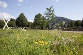 Wander- Wellness-Gartenschaupauschale