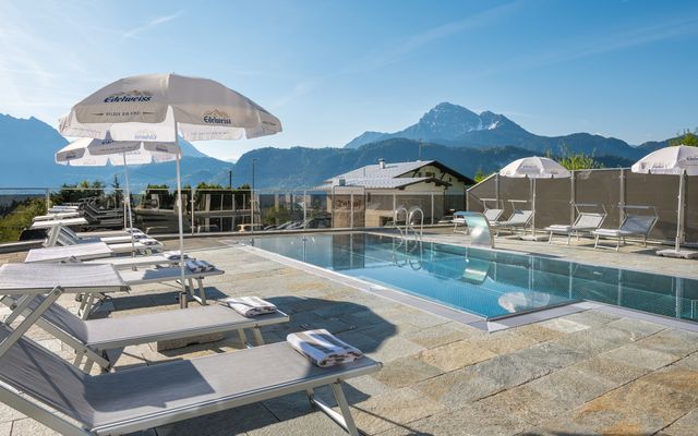 Last Minute offer 1/18