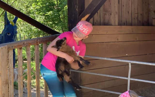 Family Midweek 13/13