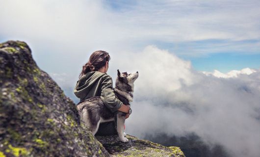 Aktivurlaub mit Hund