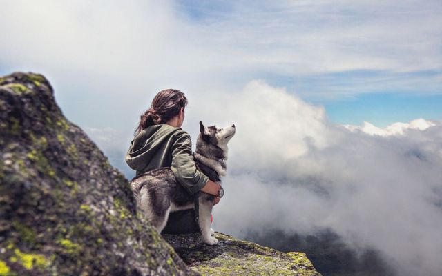 Active days with your dog 1/9