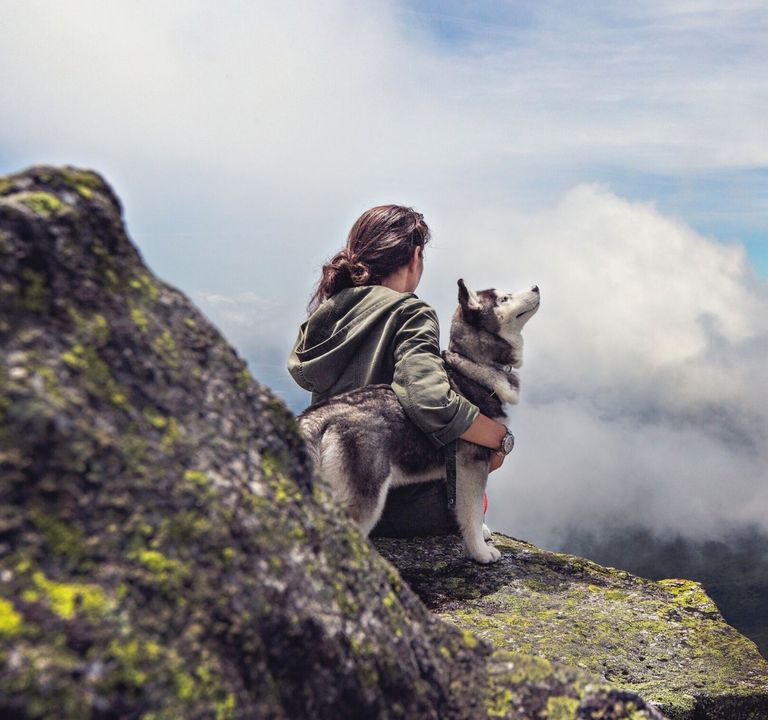 : Aktivurlaub mit Hund