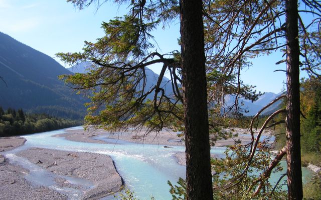 Nature watch - when the lady slippers (Orchid) bloom 4/13