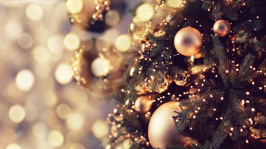 28.12.2021 28.12.2021