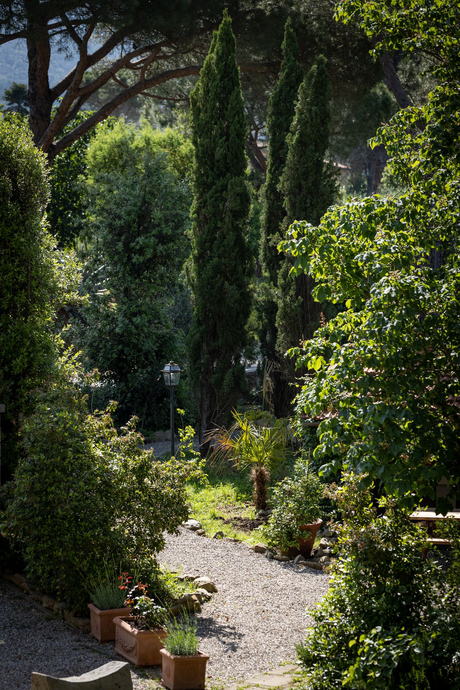 Mimosa image 6 - Agriturismo La Pievuccia