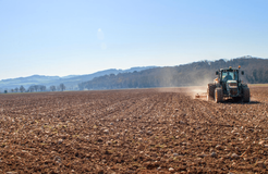 Biohotel Il Cerreto: eigene Landwirtschaft - Bio-Agriturismo Il Cerreto, Pomarance (Pisa), Toskana, Italien