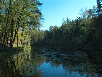 Gut Ottmanach "Josefhof" - Kärnten - Österreich