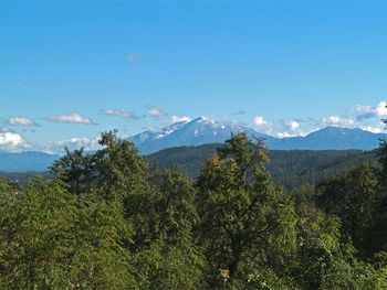 Gut Ottmanach "Josefhof" - Kärnten - Österreich