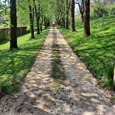 Allee, Gut Ottmanach "Josefhof", Pischeldorf, Kärnten, Kärnten, Österreich