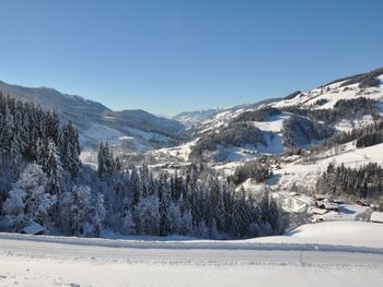 Chalet Naturblick am ZwisleggGut - Salzburg - Österreich