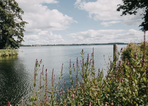 Biohotel Amadeus: Staturlaub Schwerin  – Schweriner See - Biohotel Amadeus, Schwerin, Ostsee, Mecklenburg-Vorpommern, Deutschland