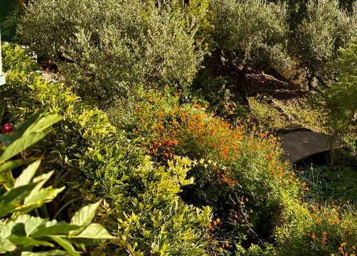 Gelbe Wohnung (4/6) - Mani Sonnenlink