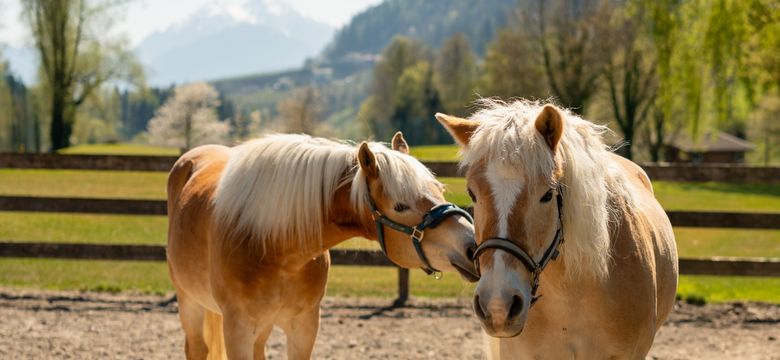 Quellenhof Luxury Resort Passeier: RIDING WEEK