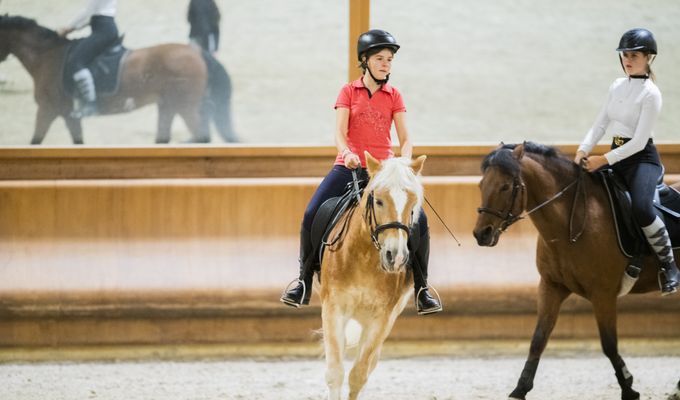 GEMEINSAME REITEINZELSTUNDE (2 ODER 3 PERSONEN)