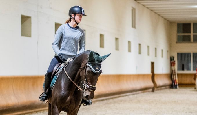 PRIVATE REITEINZELSTUNDE