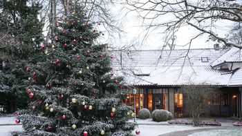 Weihnachtsmomente