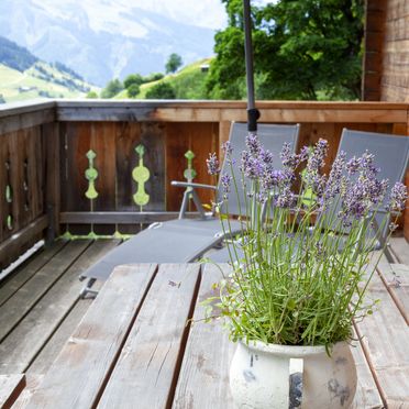 Sommer, Achthütte, Großarl, Salzburg, Salzburg, Österreich