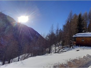 Almwiesenhütte - Carinthia  - Austria