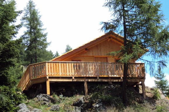 Sommer, Almwiesenhütte, Mörtschach, Kärnten, Kärnten, Österreich