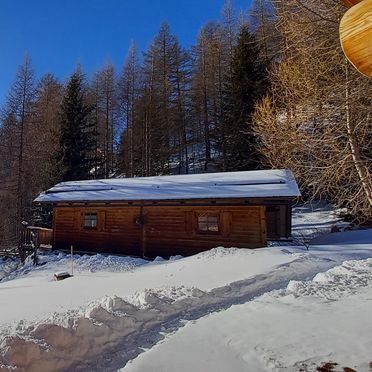 Winter, Almwiesenhütte, Mörtschach, Kärnten, Carinthia , Austria