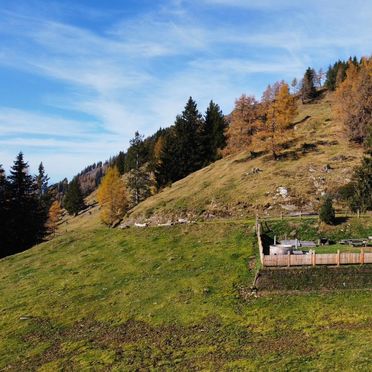 Summer, Birkhahn Hütte, Kleblach, Kärnten, Carinthia , Austria
