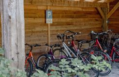 Biohotel Gut Nisdorf: Boodenküste mit dem Fahrrad erkunden - Gut Nisdorf , Nisdorf, Ostsee, Mecklenburg-Vorpommern, Deutschland
