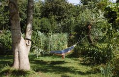 Biohotel Gut Nisdorf: Entspannt die Natur genießen - Gut Nisdorf , Nisdorf, Ostsee, Mecklenburg-Vorpommern, Deutschland