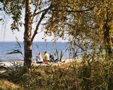 An der Boddenküste (Ostsee) - Gut Nisdorf - Bio Urlaub an der Ostsee, Nisdorf, Ostsee, Mecklenburg-Vorpommern, Deutschland