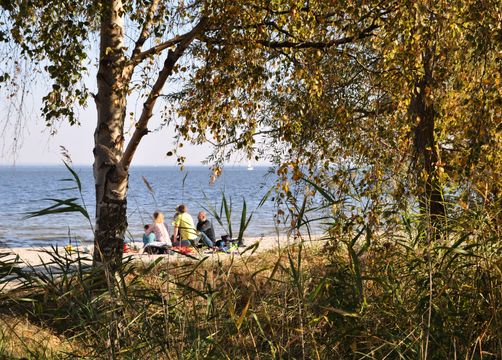 An der Boddenküste (Ostsee) - Gut Nisdorf - Bio Urlaub an der Ostsee, Nisdorf, Ostsee, Mecklenburg-Vorpommern, Deutschland