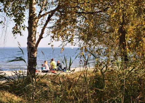 Biohotel Gut Nisdorf: An der Boddenküste (Ostsee) - Gut Nisdorf , Nisdorf, Ostsee, Mecklenburg-Vorpommern, Deutschland
