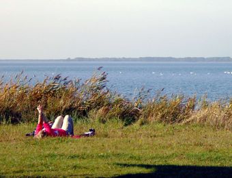 Top Angebot: Natururlaub an der Boddenküste  - Gut Nisdorf - Bio Urlaub an der Ostsee