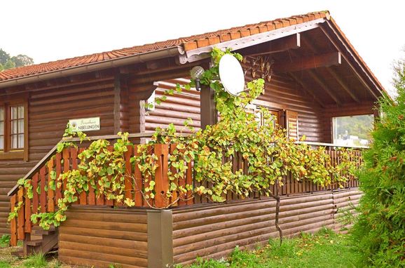 Summer, Ferienhaus Nibelungen, Marbach-Donau, Niederösterreich, Lower Austria, Austria