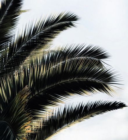 THALGO: Polynesia - Mawell Resort