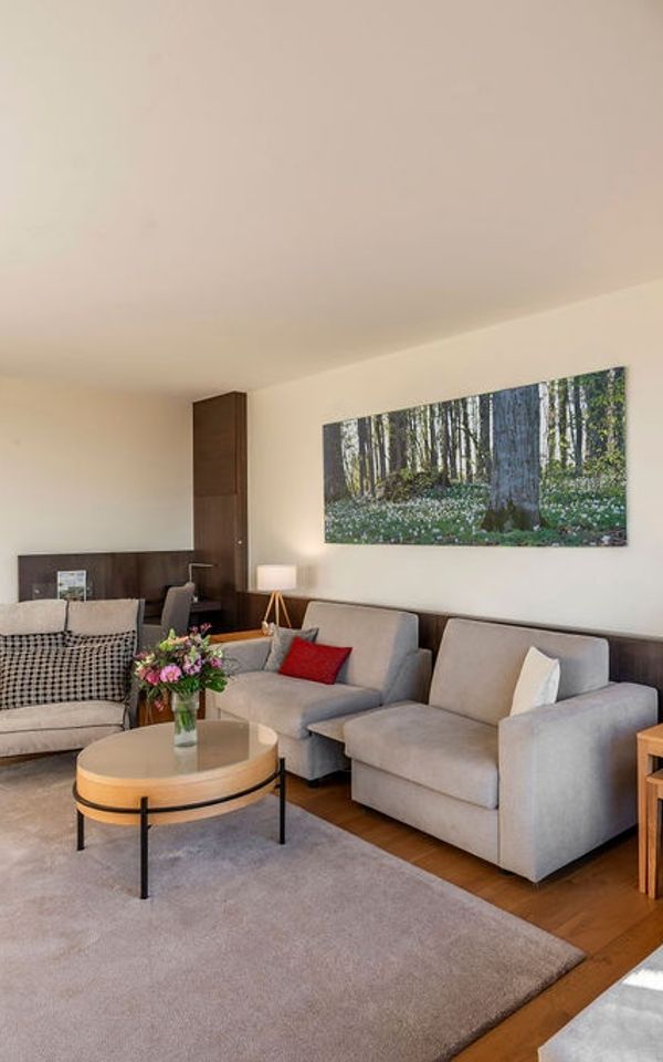 Junior-Suite not found (custom.image) #3