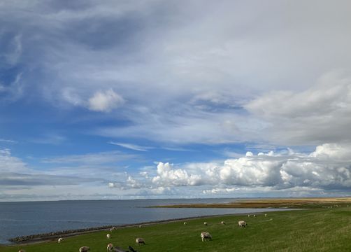 Pilates-Wochenende am Watt - Haus am Watt