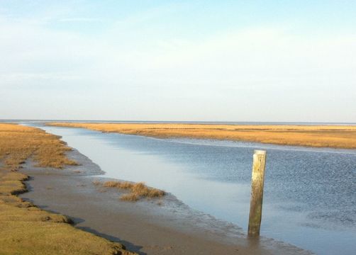 Biohotel Haus am Watt: Großer Priel - Haus am Watt, Heringsand, Nordsee, Schleswig-Holstein, Deutschland