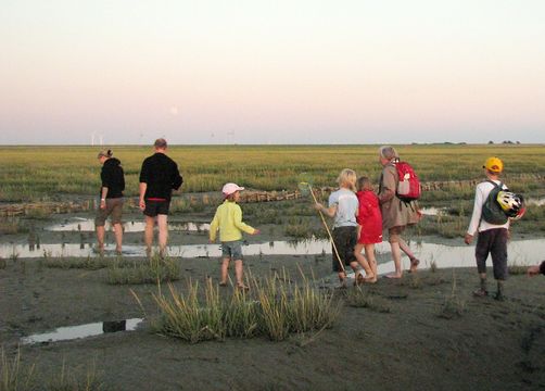 Familienurlaub - Haus am Watt