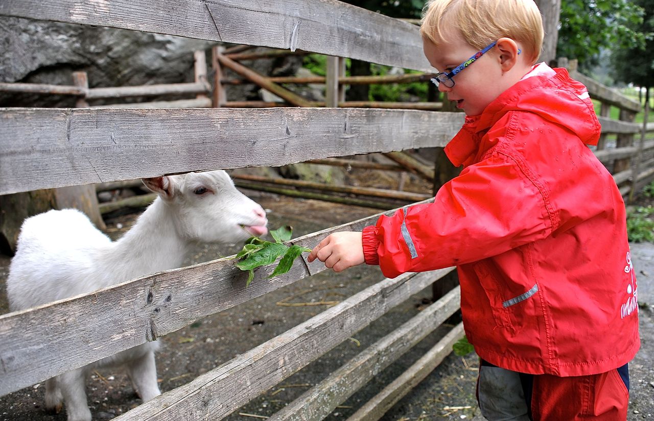 Pirker's Natur & Bio Familienhotel: Mit Tierischen Begleitern urlaub machen