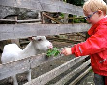 Pirker's Natur- & Bio Familienhotel, Malta, Katschberg Lieser-Maltatal, Carinthia , Austria (4/46)