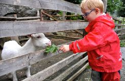 Pirker's Natur & Bio Familienhotel: Mit Tierischen Begleitern urlaub machen - Pirker's Natur- & Bio Familienhotel, Malta, Katschberg Lieser-Maltatal, Kärnten, Österreich