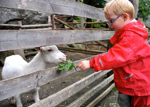 Pirker's Natur & Bio Familienhotel: Mit Tierischen Begleitern urlaub machen - Pirker's Natur- & Bio Familienhotel, Malta, Katschberg Lieser-Maltatal, Kärnten, Österreich