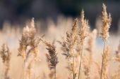 Lymphdrainage, 30 Minuten