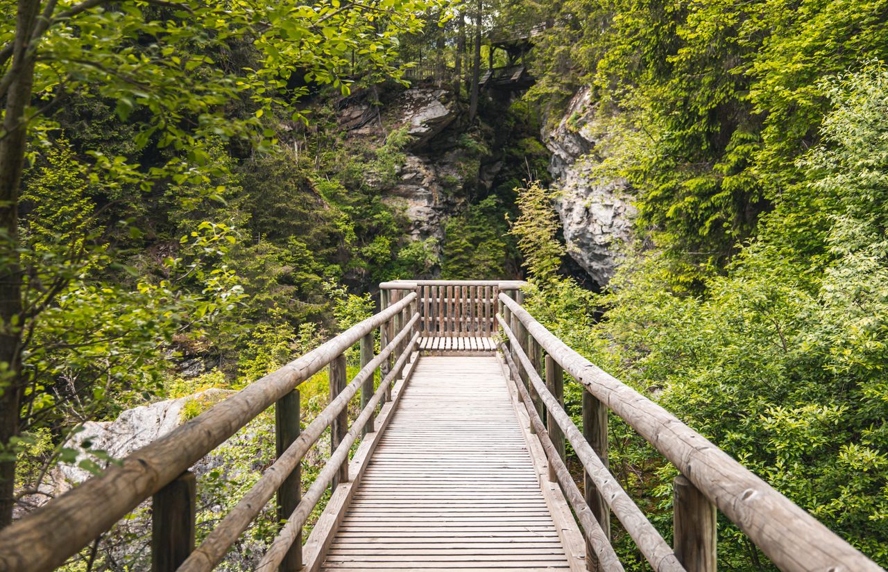 Pirker's Natur & Bio Familienhotel: Natur erkunden