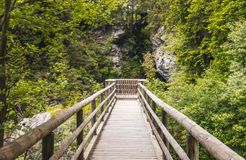 Pirker's Natur & Bio Familienhotel: Natur erkunden - Pirker's Natur- & Bio Familienhotel, Malta, Katschberg Lieser-Maltatal, Kärnten, Österreich