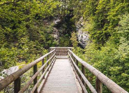 Pirker's Natur & Bio Familienhotel: Natur erkunden - Pirker's Natur- & Bio Familienhotel, Malta, Katschberg Lieser-Maltatal, Kärnten, Österreich