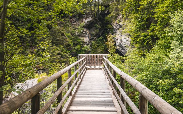Pirker's Natur & Bio Familienhotel: Natur erkunden