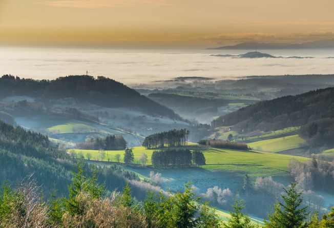 Brettentäler Wohlfühltage