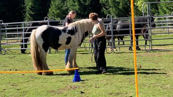 Individuelles Coaching - mit Pferden das eigene Selbst stärken