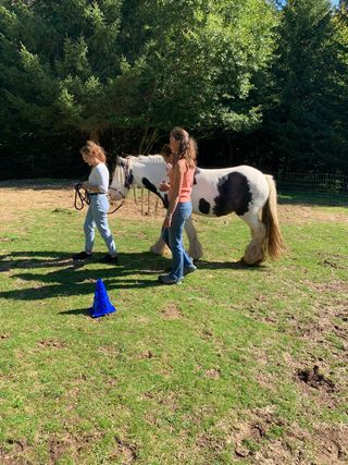 „Aktiv entspannt“ mit Pferden